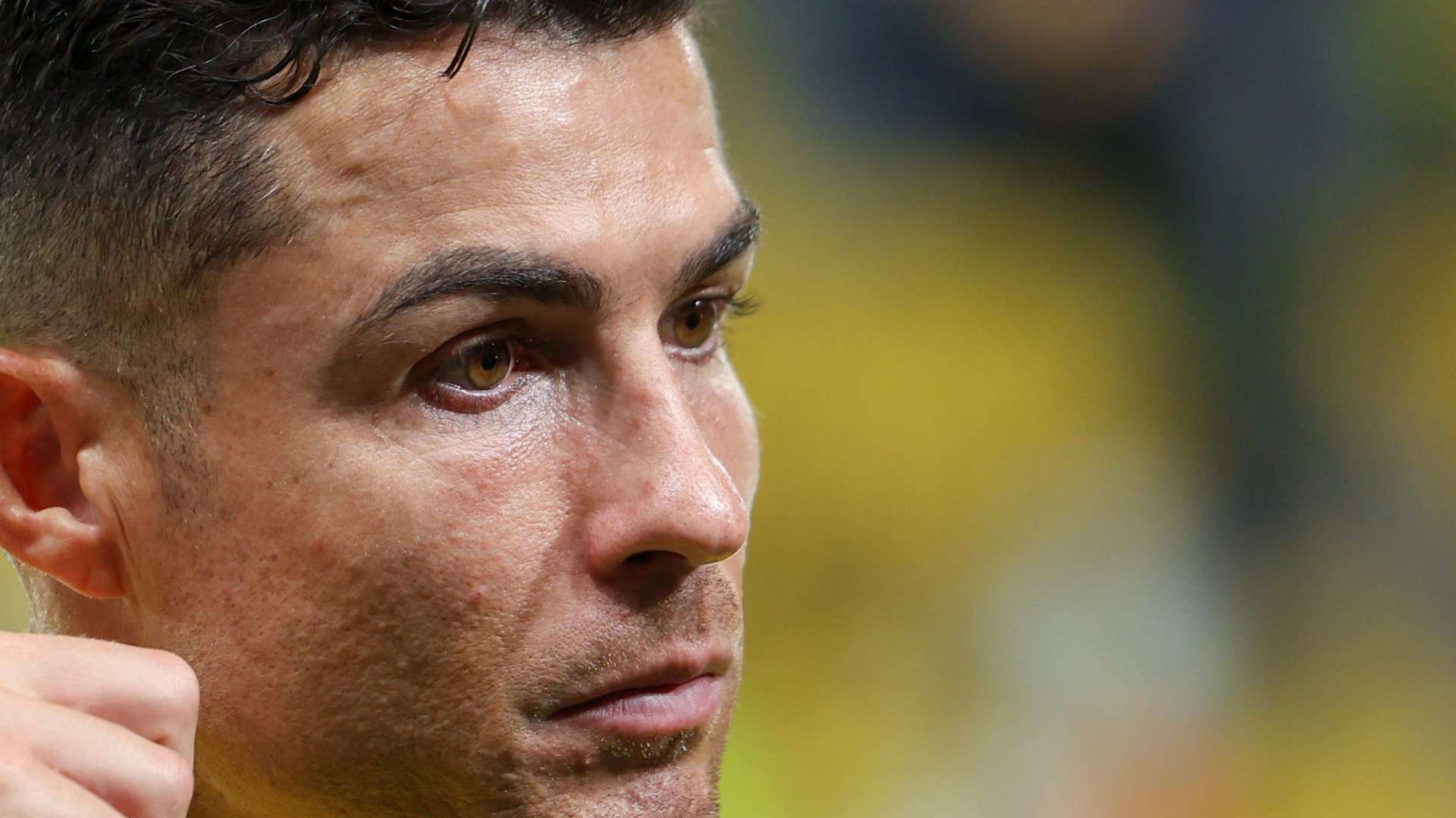 仅仅是身体 仅仅是身体